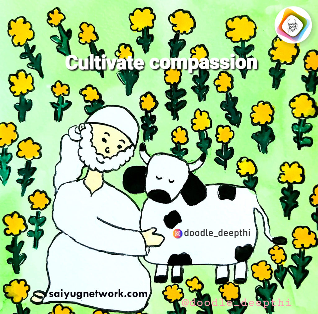 A heartwarming digital doodle of Shirdi Sai Baba wearing a white kafni and headscarf. He is kneeling in a field of yellow flowers, smiling and gently petting a black-and-white spotted cow. The text "Cultivate compassion" is written at the top.