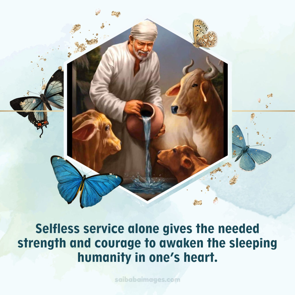 A digital graphic featuring Shirdi Sai Baba in a white kafni, pouring water from a pot for a group of cows. The central scene is framed within a hexagon, surrounded by blue and gold butterflies on a soft watercolor background. Below the image is the inspirational quote: "Selfless service alone gives the needed strength and courage to awaken the sleeping humanity in one’s heart."